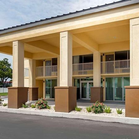 Quality Inn Saint Petersburg North-Tampa Bay Buitenkant foto
